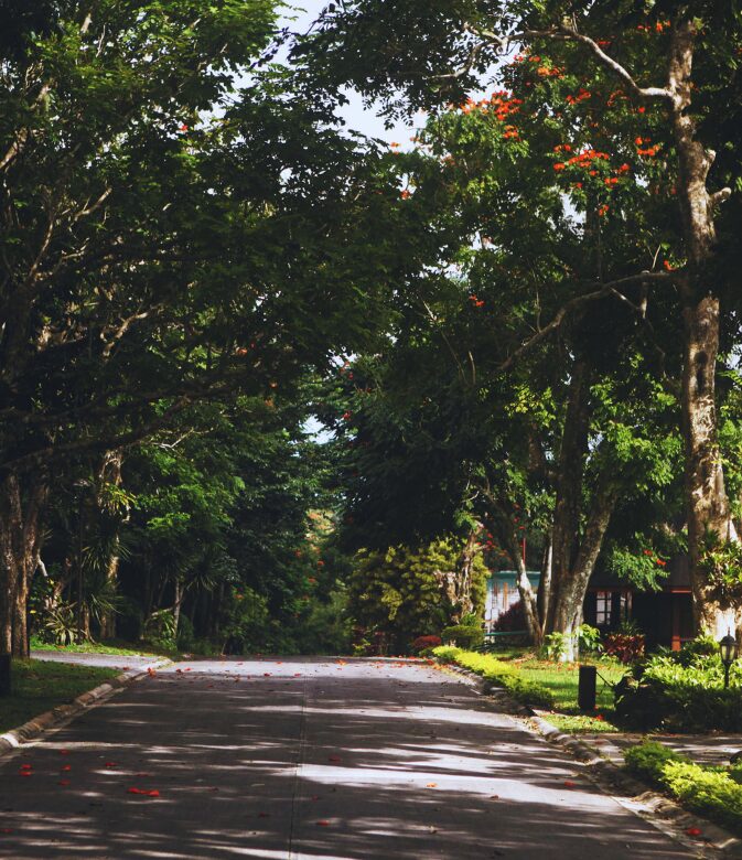 where to stay in budapest district 8