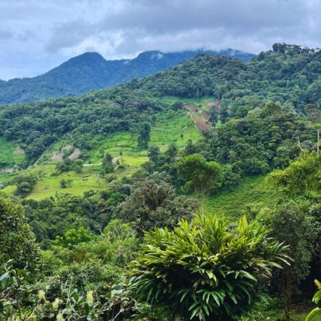 The Perfect 1-Week Malta Itinerary for First-Timers