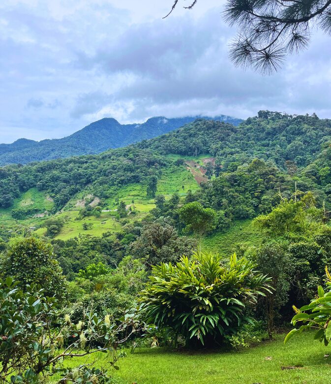 nature in bajo boquete